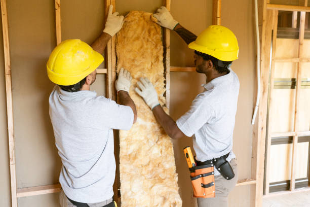 Best Insulation Removal  in Lmdale, PA